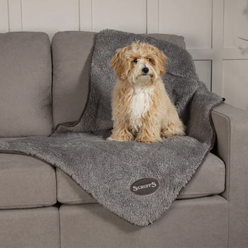 Scruffs Cosy Dog Blanket