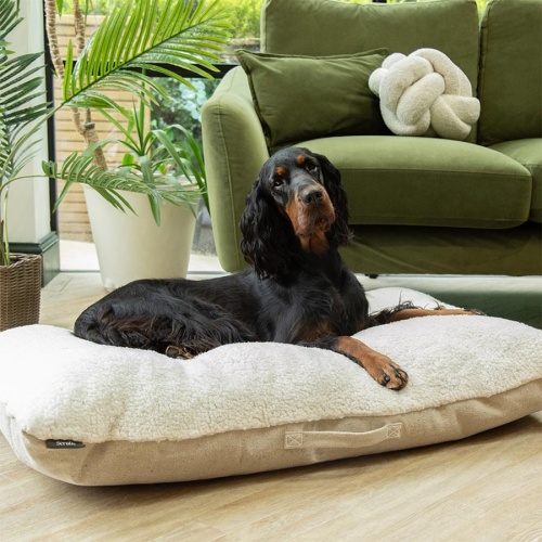 Scruffs Eden Recycled Eco Dog Cushion