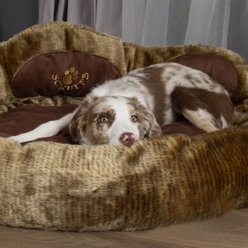 Scruffs Grizzly Bear & Cub Dog Bed