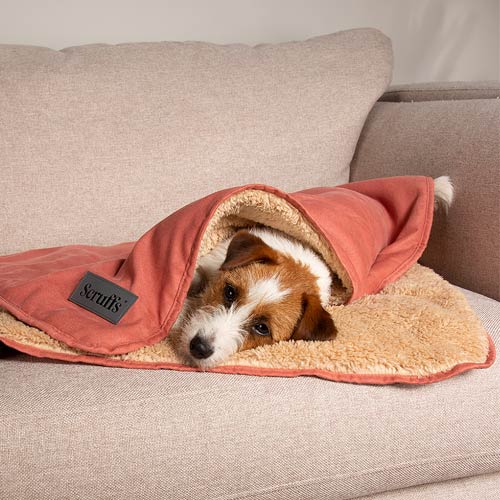 Scruffs Snuggle Dog Blanket