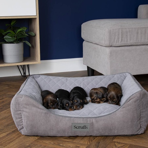 Scruffs Thermal Dog Bed