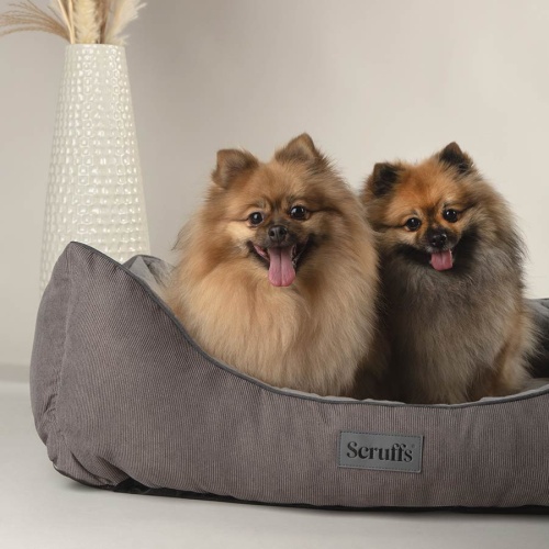 Scruffs Thermal Dog Bed