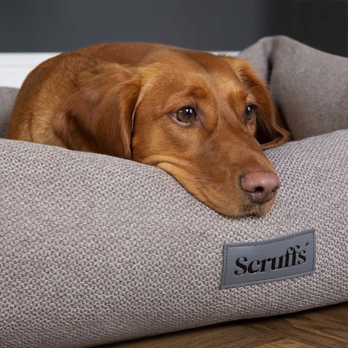 Scruffs Seattle Box Bed