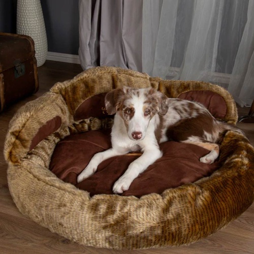 Scruffs Grizzly Bear & Cub Dog Bed