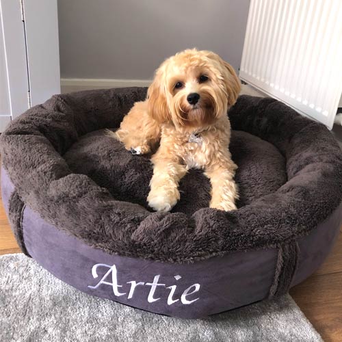 Personalised Dog Bed - Donut