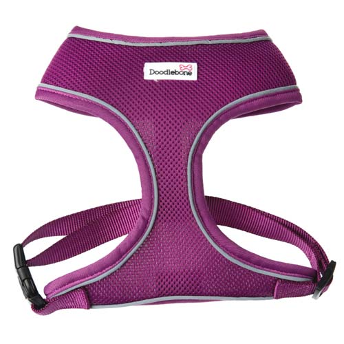 Doodlebone Mesh Dog Harness at Jerome Siegle blog