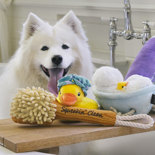 Splish Splash Soft Dog Toys