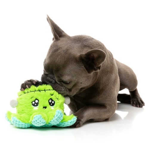 Stumpy Hallowen Dog Toy