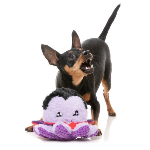 Stumpy Hallowen Dog Toy