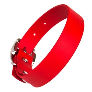 Biothane Waterproof Dog Collar - Red