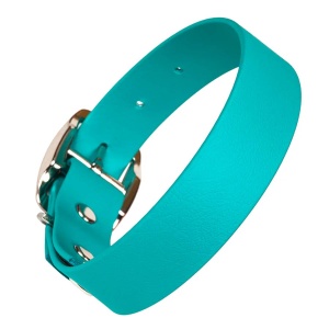 Biothane Waterproof Dog Collar - Teal