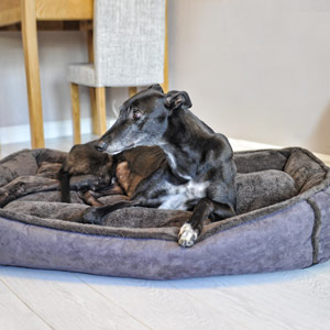 Giant Cradle Dog Bed