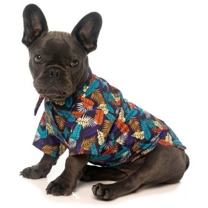 Pet Clothes Dog Pyjamas , Pyjamas for Dogs UK