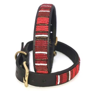 Traditional Buckle Dog Collar