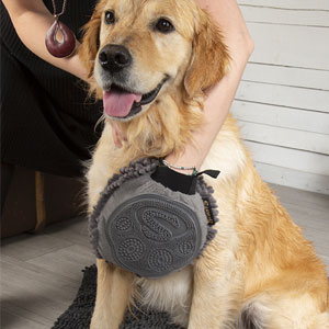 Dog Drying Noodle Mitt