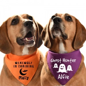 Personalised Halloween Dog Bandana