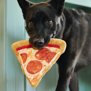 Snack Attack Dog Toy - Pizza