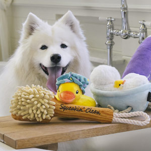 Splish Splash Soft Dog Toys
