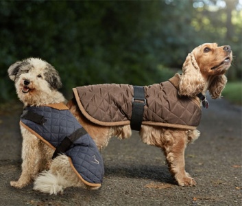 wax dog coat with harness hole