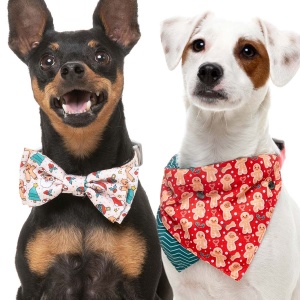 Xmas Bow Tie & Bandana Set