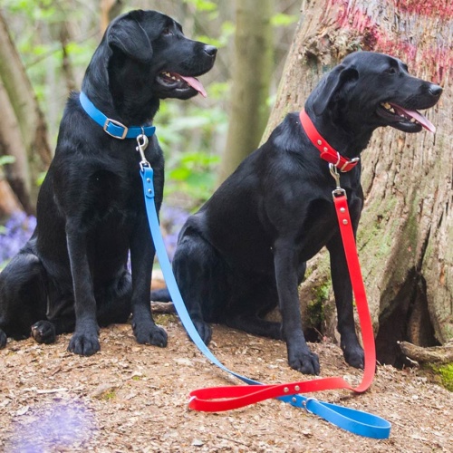 Biothane Waterproof Dog Collar - Red