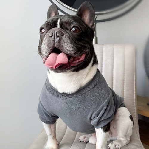 Fleece Dog Sweatshirt