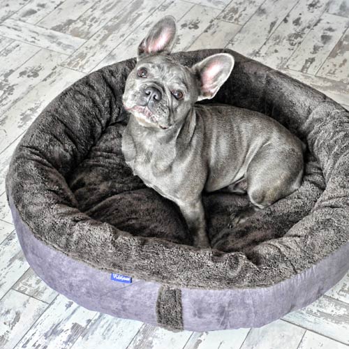 Wraparound Donut Dog Bed