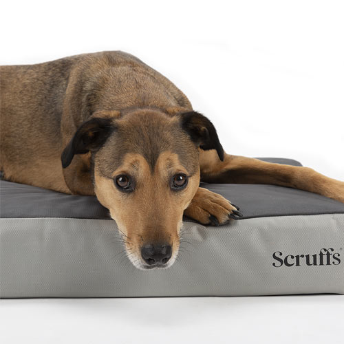 ArmourDillo Orthopaedic Dog Bed