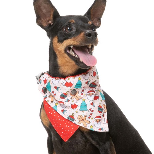 Xmas Bow Tie & Bandana Set