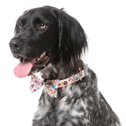 Xmas Bow Tie & Bandana Set