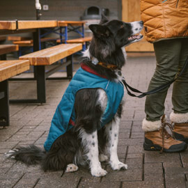 ruffwear winter coat